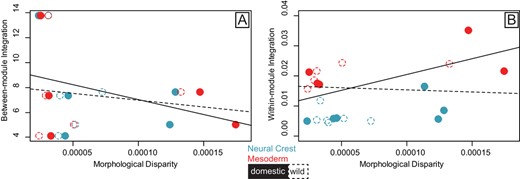 Scatterplots of the relationship between (A) morphological disparity (Procrustes Variance) and between-module integration (z-scores for between module PLS), and (B) morphological disparity (Procrustes Variance) and within-module integration (Eigenvalue dispersion). Values calculated from cranial landmarks assigned to the Neural Crest (NC) (blue) and Mesoderm (MD) (red) modules for six domestic/wild pairs of mammals. Ordinary least squares regression lines show fit for the pooled (MD and NC) relationships for domestic (solid line) and wild (dashed line) forms. Filled ellipses are the domestic form and open ellipses are the wild form. Disparity and Integration values were calculated using Procrustes superimposed landmarks (graphed) and allometry-corrected residuals (Table S16 and Table S18).
