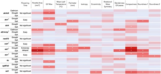 Heatmap showing summary results for ANOVA interactions tests of loge(x) transformed stress phenotype measurements taken 10 days after stress imposition. Summaries of flowering time results also displayed. Knockout mutants differing significantly from wild type in both flowering time and stress response are denoted by †. Colour scale based on F-value test statistics, with dark red indicating the highest F-values, pale blue the lowest F-values. Values shown are comparisons between each knockout genotype and Col-0 wild type, and between control and either cadmium, drought, or salt treatment. Cells with asterisk indicate interaction test F-values where P < 0.05; with sal1 and siz1 demonstrating the greatest number of P < 0.05 interactions and thus differing most significantly from wild type in measured stress response. Full test statistics available in Supporting information, Table S6.