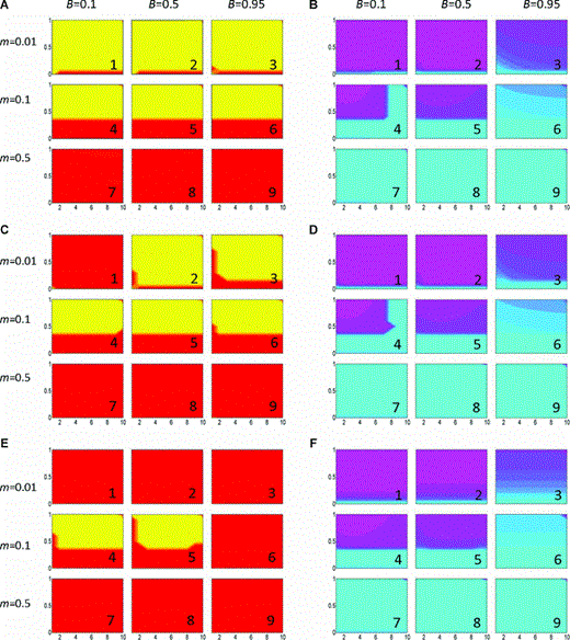 Evolution of assortative mating and prevalence of local dialects in the basic model. For each individual plot, the x‐axis represents the strength of female preference (αp), and the y‐axis is the strength of selection against hybrids (sE). For each of the six 3 × 3 panels of plots (A through E), we vary the migration rate (m) across the rows and vary the frequency of weak predispositions (B, defined as the probability of learning in the general interpretation of the model) by column. The panels in the left column (A, C, and E) show the frequency of the assortative mating allele A2 in the total population; yellow indicates A2 is fixed, red indicates that A2 has been lost, and intermediate shades represent polymorphisms where more yellow = higher frequency of A2. The panels in the right hand column (B, D, and F) display the prevalence of mixed versus pure song types; light purple indicates that population specific songs (categories 1 and 3) are fixed in their respective populations, whereas light blue indicates that they are not (either all individuals are singing mixed song (category 2), or one of the pure dialects (category 1 or 3) is fixed across both populations). Intermediate shades between blue and purple represent decreasing frequencies of local dialects in their respective habitats. We consider reinforcement to have occurred if the allele A2 has spread and local dialects are maintained at reasonably high frequencies (yellow on the left‐hand panels coinciding with purple on the right‐hand panels). Panels A and B: no cost c= 0; panels C and D: c= 0.001; panels E and F: c= 0.01.
