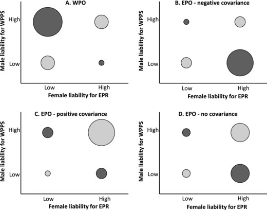 Conceptual view of the relative numbers of (A) within-pair offspring (WPO) and (B–D) extra-pair offspring (EPO) conceived by females and males with low or high additive genetic liabilities for extra-pair reproduction (EPR) and within-pair paternity success (WPPS), respectively, assuming (B) negative, (C) positive, or (D) zero genetic covariance between male within-pair paternity success and extra-pair reproductive success. Circle sizes indicate relative numbers of offspring. Dark and light shading indicates assortative reproduction that would, respectively, generate negative and positive genetic covariance between female liability for extra-pair reproduction and male liability for within-pair paternity success in offspring. These figures are intended to illustrate conceptual points not to be quantitatively accurate: absolute offspring numbers might differ across panels A versus B–D depending on the mean extra-pair reproduction rate, female and male genetic values will vary continuously rather than dichotomously, and offspring proportions will also depend on any assortative pairing or correlated variation in female fecundity.