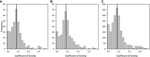 Distributions of the coefficient of kinship (k) between a female song sparrow and her (A) first-neighbor, (B) second-neighbor, and (C) non-neighbor males, across 343, 330, and 2080 pairwise comparisons relating to 130 breeding attempts that produced observed extra-pair offspring. Vertical lines demarcate means.
