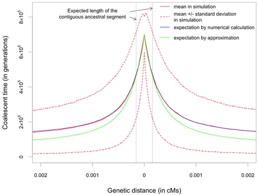 Expected coalescent time between two lineages carrying different alleles. Parameters are chosen to be plausible for the ancestral population for humans and chimpanzees: Na = 50,000, p = 0.5, and TS = 600,000 generations (see Supporting Information). The mean and standard deviation of the simulation results were obtained from 10,000 replicates.