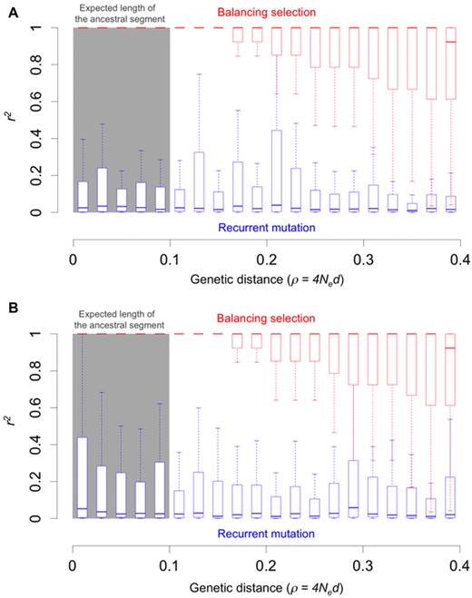 LD between shared SNPs generated by balancing selection or by recurrent mutations. Fifty chromosomes were sampled from each species in both scenarios. We assumed an allele frequency of 0.5 for the scenario of balancing selection and sampled an equal number of chromosomes from each allelic class (see Supporting Information for details of the simulations). Panels (A) and (B) show the distribution of r2 in the two species, respectively.