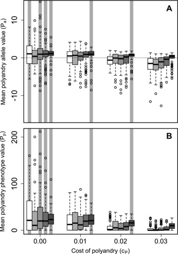 Distributions of mean polyandry (A) allele value ( Pa ) and (B) phenotype value ( Pp ) after 5000 simulated generations across replicates with different parameter combinations. Male availability is socially constrained ( SQ,100 ) such that females choosing their initial mates only have access to males not already chosen by other females. Blocks of boxes within A and B show four direct costs of the polyandry phenotype ( cP ). Boxes within blocks show five increasingly severe magnitudes of inbreeding depression β={0,0.2,1.0,2.0,5.0} (white to dark gray). Central lines on boxes show medians across 100 replicate simulations, box limits show interquartile ranges, whiskers show 1.5×IQRs , and extreme points show outliers. The dotted horizontal line in A indicates zero on the y-axis. Gray vertical bars highlight replicate simulations in which expected values (i.e., grand means) of mean Pa are positive and 95% bootstrapped confidence intervals do not overlap zero.