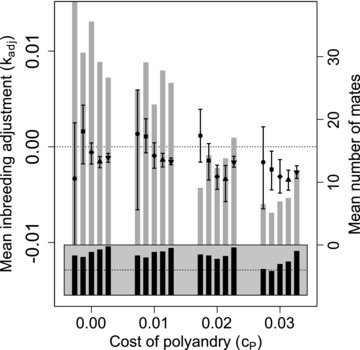 Mean inbreeding adjustment ( kadj ) through polyandry in generation 5000 across replicate simulations with different parameter combinations. Male availability is socially constrained ( SQ,100 ) such that females choosing their initial mates only have access to males not already chosen by other females. Blocks of points show four direct costs of the polyandry phenotype ( cP ), and points in each block show five increasingly severe magnitudes of inbreeding depression (β) of 0 (•), 0.2 (■), 1 (✦), 2 (▲), and 5 (▼). Each point shows the expected value (i.e., grand mean) of mean kadj for 100 replicate simulations, and error bars show 95% bootstrapped confidence intervals around expected mean kadj . Gray bars show the mean number of mates each female had across all replicates (right y-axis). Black bars show proportions (gray region spans 0 to 1; dotted lines indicate 0.5) of replicates in which at least one female is polyandrous.