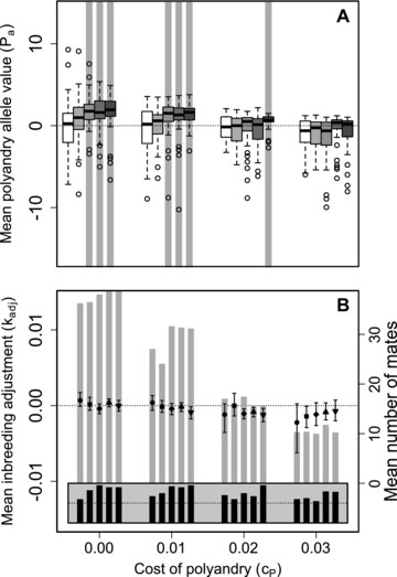 Distributions of (A) mean polyandry allele value ( Pa ) and (B) polyandry and inbreeding adjustment ( kadj ) after 5000 generations when females can choose among all males in both their initial and additional mate choice (S100, 100) but reject all additional males if none are of higher quality than their initial male (conditional polyandry). Blocks of (A) bars and (B) points show four direct costs of the polyandry phenotype ( cP ). (A) Bars and (B) points within blocks show five increasingly severe magnitudes of inbreeding depression of β={0,0.2,1,2,5} as (A) white to gray bars and (B) 0 (•), 0.2 (■), 1 (✦), 2 (▲), and 5 (▼). In A, boxes show medians and interquartile ranges, whiskers show 1.5×IQRs , and extreme points show outliers; gray vertical bars highlight 100 replicate simulations in which expected Pa values (grand means) are positive and 95% bootstrapped confidence intervals do not overlap zero. In B, error bars show 95% bootstrapped confidence intervals around expected mean kadj (left y-axis), gray bars show mean number of mates each females have across replicates (right y-axis), and black bars show the proportion of simulations in which at least one female is polyandrous (gray region spans 0–1; dotted lines indicate 0.5).