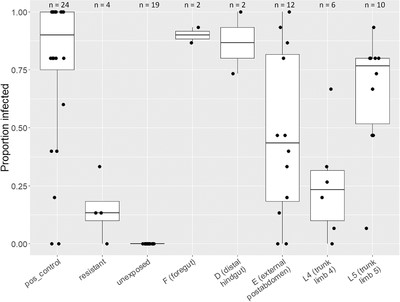 Boxplot showing proportion of infected hosts resulting from Pasteuria ramosa spore attachment to various sites on Daphnia magna cuticle. Box edges denote first and third quartiles, and whiskers extend to 1.5 × interquartile range. Points represent host clone–parasite isolate combinations, with 15 host individuals (for the resistant group and test groups F–L5) or five host individuals (for positive control and unexposed groups) tested per combination. Number of combinations tested (n) are given above each treatment group. For the test groups (F–L5), we specifically chose host–parasite combinations that show strong attachment at only the site being tested. For the positive control group, each tested P. ramosa isolate was paired with the host in which it was previously propagated. For the resistant group, we tested host–parasite combinations which showed no attachment at all sites.