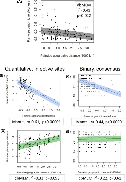Distance matrices correlate. (A) Scatterplot showing relationship of pairwise whole genome relatedness (kinship coefficients) to pairwise geographic distances between sites of origin of populations for 22 Pasteuria ramosa isolates from our dataset (see Methods). Line of best fit was generated using a linear model. The shaded region spans 0.5 standard deviation of the residuals on either side of the line. (B-E) Scatterplots showing relationship of pairwise Euclidean distances between attachment phenotypes to pairwise whole genome relatedness (B,C, blue shading) and to pairwise geographic distances between populations of origin (D,E, green). Phenotype is defined either as quantitative attachment to infective sites (B,D, left column) or as binary infectivity to each host regardless of attachment site (C,E, right column, data as in Supporting information Fig. S8). For each plot, the corresponding test, test statistics and p-value is given.