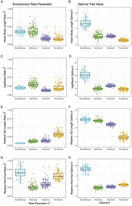 Results from 100 independent OUwie OUMV analyses. Colored dots represent the outcomes of each analysis, and box plots provide the median (dark line in the box), 25th and 75th percentiles (top and bottom of boxes), and the largest or smallest values no further than 1.5. *Inter-quartile range from the center (whiskers). Head-Body Length, Relative Tail Length, and Relative Hind Foot Length are scaled to a mean of zero and an SD of 1.