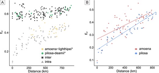 (A) Pairwise FST calculated between all populations with at least five individuals sampled (one lighthipei population had only four individuals sampled but is still included) versus the distance in kilometers between the populations being compared. Points are colored according to whether they are comparisons between populations of the same subspecies (intra) or different subspecies (inter). Intersubspecies comparisons between amoena and lighthipei or between pilosa and deamii are highlighted in yellow and green, respectively. (B) Intraspecies FST versus distance comparisons for pilosa (Mantel test; r = 0.924; P < 0.001) and amoena + lighthipei (Mantel test; r = 0.667; P < 0.001) showing a strong signature of isolation by distance. Populations of amoena and lighthipei were grouped together for this analysis in agreement with phylogenetic, PCA, and STRUCTURE results.