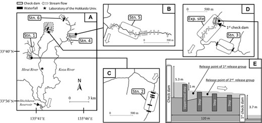 Map of the study stations. (A) Overall view showing the locations of each study station (Stn.), the experimental field site (Exp. site), the furthest-downstream barriers (i.e., check dams and waterfalls) on each tributary, a large dam with a reservoir (the Shichikawa dam), and the laboratory of Hokkaido University (black star). (B) Detailed map of Stn. 5, including the 16 check dams. (C) Detailed map of Stn. 2, including one check dam and five waterfalls. (D) Detailed map of the area around Stn. 3 and the Exp. site, including eight check dams and two waterfalls. (E) Schematic cross-sectional view of the experimental release section for the field experiment conducted at Exp. site, showing unpassable check dams and passable steps. Only up to four passable steps are shown for simplicity.