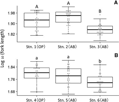Comparison of log10-transformed fork length among juveniles captured at each study station (Stn.) in the (A) Hirai River and (B) Koza River. Station types are indicated in parentheses as open stream (OP) or above barrier (AB). Stations 2 and 5 are above-barrier stations with multiple downstream barriers. Stations 3 and 6 are above-barrier stations with one downstream barrier. Letters indicate homogenous subsets at the P < 0.05 level based on Games-Howell post hoc comparisons.