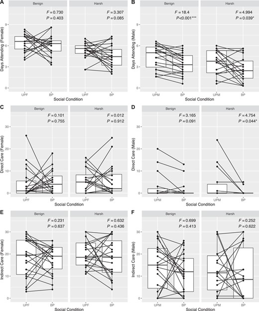 Reaction norm-type plots depicting social plasticity in components of parental care within thermal environments. Individual data points overlain on boxplots representing the sample distribution under uniparental (UPF = uniparental female; UPM = uniparental male) and biparental (BP) care. Lines connecting points represent within-individual plasticity, where negative slopes illustrate reductions in care between uniparental and biparental conditions. Panels separate benign and harsh thermal environments. These trends are depicted for (A) female attendance time, (B) male attendance time, (C) female Direct Care, (D) male Direct Care, (E) female Indirect Care, and (F) male Indirect Care. Test statistics were obtained from repeated measures ANOVA tests with social condition (uniparental or biparental) as the within-subject factor and individual ID nested within trial number as the error term.