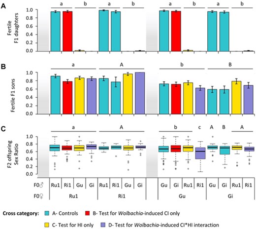 Proportion of fertile F1 female and male offspring resulting from intra- and interpopulation crosses using Wolbachia-infected and -uninfected mites, and sex-ratio of F2 offspring resulting from backcrosses of F1 males. Average proportion (± S.E.) of (A) fertile F1 females (i.e., proportion of females laying at least 1 egg) and (B) fertile F1 males (i.e., proportion of males siring at least 1 daughter when mated with a female from the same population as their mother). (C) Boxplot of sex ratio (daughters to sons) of F2 offspring sired by F1 males. Mothers are displayed on the bottom level of the X-axis and fathers on the top level. Identical or absent superscripts above bars or boxes indicate nonsignificant differences at the 5% level among crosses.