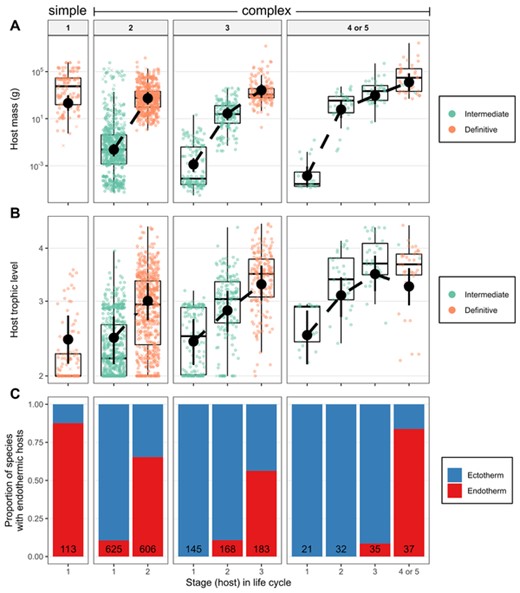 (A) Host mass, (B) trophic level, and (C) endothermy across parasite life cycles. Parasites are paneled by life-cycle length, and colors differentiate larval and adult stages in (A) and (B). Missing data were imputed; X's represent the average from 100 imputations of the y-axis variable. Circles are observed data. Black point ranges are means and 95% credible intervals estimated from mixed models accounting for parasite taxonomy and missing data. The number of species are in the bars in (C).