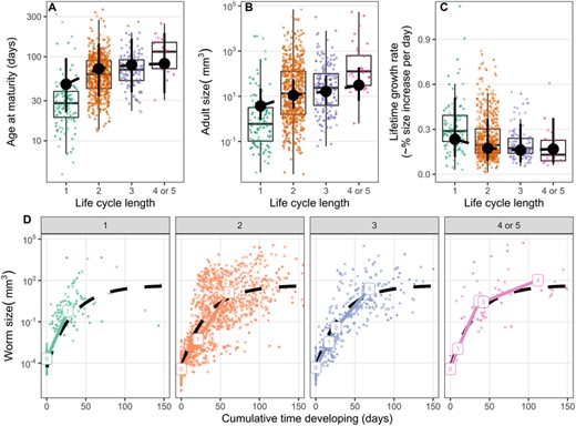 (A) Age at maturity (i.e., the cumulative development time across all hosts), (B) reproductive size, and (C) average lifetime growth rate for parasites with different life-cycle lengths. Point ranges are means and 95% credible intervals estimated from mixed models accounting for parasite taxonomy and the variability due to missing data. (d) Helminth size over time, paneled by life-cycle length. Median values for each parasite life stage are plotted. The dashed line represents an asymptotic curve fit to the full dataset. It was defined as size = A - (A - P) * exp(-B * age), where P is ln-transformed propagule size (-9.9), A is ln-transformed asymptotic size (3.8), and B is the rate constant (0.03). In all panels, X's represent the average of 100 imputations; circles represent observed data.