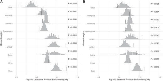 Top SNPs are enriched for functionally relevant classes. Enrichment of top 1% SNPs in each genic class for (A) latitudinal P-value and (B) seasonal P-value. The histograms show the distribution of odds ratios when latitude and season labels were permuted, and the vertical bars show the observed odds ratios.