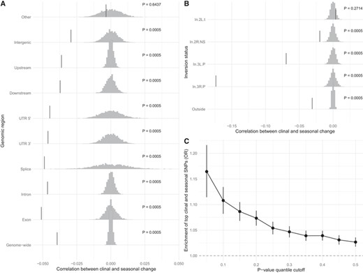 Clinal change parallels seasonal change. Correlation between clinal change and seasonal change for each genic class (A) and by inversion breakpoint (B). (C) Association between top latitudinal and seasonal variants for different P-value cutoffs. Gray histograms are the null distribution of the correlation (after permuting the latitude and season labels) and vertical bars represent the observed correlation.