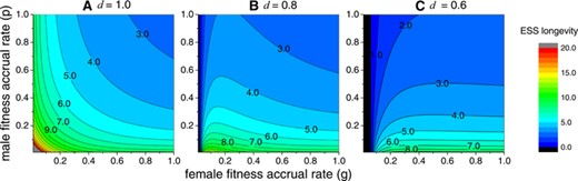 ESS flower longevity under different female and male fitness accrual rates when delayed selfing fertilizes all the remaining ovules (l=1). The three panels (A), (B), and (C), respectively, show results under different levels of inbreeding depression d=1,0.8, and 0.6. The color bar shows different levels of ESS longevity, and T>20 is colored grey. For all panels, m=0.1.