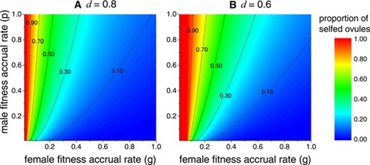 Proportion of selfed ovules under ESS flower longevity at different female and male fitness accrual rates when delayed selfing fertilizes all the remaining ovules (l=1). Panels (A) and (B) respectively show results when inbreeding depression d=0.8 and 0.6. The color bar shows different level of selfing rate, which is the proportion of selfed ovules out of total fertilized ovules. For all panels, m=0.1.