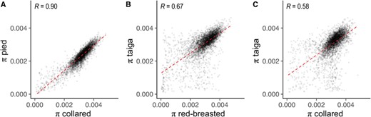 Correlations between levels of diversity at three evolutionary timescales. Correlations between window-based estimates (200-kb nonoverlapping) of nucleotide diversity are shown between (A) collared and pied flycatchers, (B) red-breasted and taiga flycatchers, and (C) collared and taiga flycatchers. All correlation coefficients displayed are significant (P < 2.2 × 10–16).