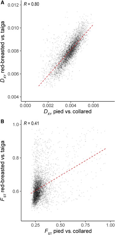 Correlations between measures of species differentiation among the species comparisons. (A) The correlation between estimates of DXY in 200-kb windows between pied versus collared flycatchers and red-breasted versus taiga flycatchers. (B) The correlation between FST estimated in the same 200-kb windows. Both correlation coefficients shown are significant (P < 2.2 × 10−16).