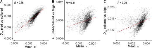 Change in the strength of correlations between diversity and divergence over time. Shown is the relationship between DXY and mean π for each species pair estimated in 200-kb genomic windows, with increasing species differentiation: (A) pied versus collared flycatchers, (B) red-breasted versus taiga flycatchers, and (C) collared versus taiga flycatchers. All correlation coefficients displayed were significant (P < 2.2 × 10−16).