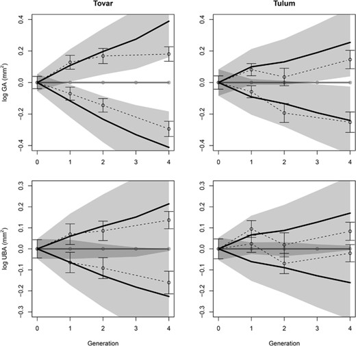 Observed and predicted response to selection with responses corrected for changes in the control lines. No results are given for the 3rd generation due to the absence of a control. See Figure 3 for definitions of symbols and shaded areas.