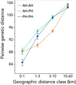 Habitat affects patterns of genetic distance among individuals, but cross-habitat genetic distances are not elevated relative to within-habitat distances at any geographical scale. Least-squared means (LSMs ± 1 standard error) of pairwise genetic distance for pairs of individuals sampled from AH–AH (annual), AH–PH (mixed), and PH–PH habitats across geographical distance categories. Values are from a two-way ANOVA with habitat pair, the distance category, and their interaction (all P < 0.0001). Cross-habitat pairs (AH–PH, mixed) were not statistically different from one or the other within-habitat pair in the three shorter distance categories (Tukey's HSD test, P > 0.05).