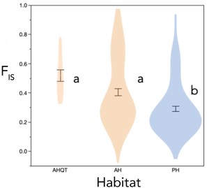 Habitat (including associated phenotypes) affects individual inbreeding history. Means (±1SE) and distributions of individual inbreeding coefficients (FIS) of M. guttatus plants sampled from the isolated thermal annual AHQT population and other annual and perennial habitats in Yellowstone National Park. Individual FIS values were calculated within each the five regional populations. Letters indicate means significantly different by Tukey's HSD test (P < 0.05).