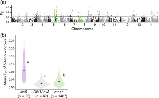 Genome scan reveals independent derivation of annuality in Yellowstone M. guttatus. (a) FST between AH and PH plants at SNPs genome-wide. Highlighted SNP are in inversions that phenotypically define annuals and perennials (inv8/DIV1 only; Hall et al. 2006; Lowry and Willis 2010) and/or show elevated coastal annual–inland perennial differentiation (both; Gould et al. 2017). (b) Means, standard errors, and distributions of mean FST for 50-SNP windows genome-wide. Letters indicate means significantly different by Tukey's HSD test.