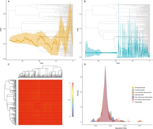 Plots of diversification dynamics from macroevolutionary analyses. All results shown for the taxonomically complete TACT tree which is shown in the backgrounds of A and B. (A) Pulled-diversification rate (PDR) through time from CASTOR. Dots and dark line are mean estimates of fitted PDR and error bars are 95% credibility intervals from 1,000 bootstrap replicates. (B) PSR through time from CASTOR. Dots and dark line are mean estimates of fitted PSR and error bars are 95% credibility intervals from 1,000 bootstrap replicates. (C) Macroevolutionary cohort analysis of pairwise rate regimes from the speciation and extinction analysis in BAMM. (D) Speciation rate distributions estimated by ClaDS demonstrating unexceptional rates shifts for diplodactyloid families and subclades (ANOVA: DF = 6, F = 0.73, p = .62).
