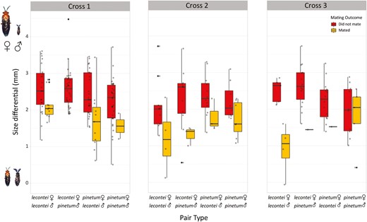 Across all crosses and pair types, pairs that did not mate (red boxes) had greater size differentials than pairs that did mate (yellow boxes). Cross 1 is North Carolina Neodiprion lecontei × Indiana N. pinetum; Cross 2 is Kentucky N. lecontei × Kentucky N. pinetum; Cross 3 is Kentucky N. lecontei × Michigan N. pinetum. No N. lecontei female × N. pinetum male pairs mated in Cross 1 (no yellow bar). Size differentials are female body length minus male body length; higher values reflect larger size differences (adults not drawn to scale). Boxes represent interquartile ranges (median ± 2 SD), with size differential outliers indicated as black points and observed data indicated as gray points. Note that while we are showing size differentials on the y-axis to visualize the consistency of this pattern, mating outcome was modeled as the response variable. Size differential had a significant effect on mating outcome in all crosses (Supplementary Table S10).