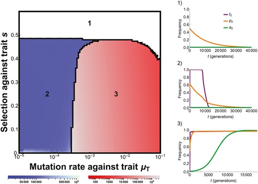 Numerical results from the three-locus model demonstrate the presence of 3 regimes (shown by color), the time until equilibrium is reached (shading; recursions stopped when each allele frequency changed by <10−8), and example timeseries from each regime. Regime 1 (white) occurs when there is insufficient female preference to drive the evolution of the male display trait. Regime 2 (blue) occurs when the male trait evolves, but not enough variation in it is maintained (due to low mutation pressure), leading to the ultimate loss of first the preference and then the trait. Regime 3 (red) occurs when the male trait evolves and enough variation in it is maintained (due to high mutation pressure) to prevent the loss of the preference and trait, and allow the evolution of preference strength (see main text). Initial conditions are p2 = 0.5 (µP = 10−4), t2 = 0.001, and a2 = 0.001 (where α1 = 2 and α2 = 4). Timeseries parameters: (1) µT = 10−3, s = 0.6; (2) µT = 10−5, s = 0.2; (3) µT = 10−2, s = 0.2.