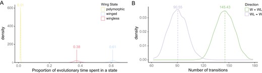 Estimates from stochastic character mapping simulations. (A) The proportion of evolutionary time spent in a single state estimated from the best-fit model. Distributions show simulation replicates on a single tree. The mean for proportions is shown above the distribution. Time spent in a polymorphic state is shown in yellow, as winged in blue, and as wingless in red. (B) The number of transitions estimated for the best-fit model is shown from a single tree topology. Wing loss (W->WL; W = winged, WL = wingless) is shown in green, and wing gain (WL->W) is shown in purple. Distributions show simulation replicates on a single tree. The mean for transitions is shown above distribution. Note that the best-fit model (“ARDtr”) necessitates all transitions between monomorphic wing states to pass through an intermediate polymorphic state (see Supplementary Table S1), such that these transitions more accurately show the gain of polymorphisms from winged (green) or wingless (purple) backgrounds. See Supplementary Figure S2 for mean estimates across all posterior tree topologies.