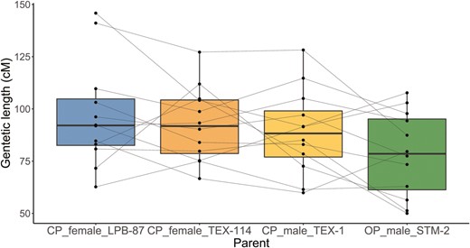 Genetic length of LGs in each of the four maps, based on the reduced dataset. Dots represent individual LGs, and the fine lines identify the same LGs in the different maps. The thick horizontal lines represent the medians, the box the 25th and 75th percentiles, and the error bars show the most extreme data point which are no more than 1.5 times the interquartile range from the box (color code: blue, CP_Female_LPB-87; orange, CP_Female_TEX-114; yellow, CP_Male_TEX-1; green, OP_Male _STM-2.