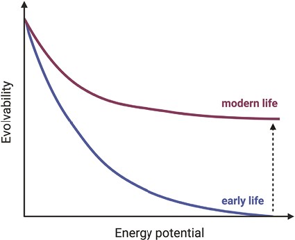 Evolvability as a function of energy potential differs for ancestral and derived metabolic systems. Early life-like systems could harness small energy potentials in order to self-propagate and pass on fitness differences. As the environment’s energy potential increases, the ability of ancestral metabolisms to harness energy decreases. Modern life, however, uses enzymes to lower activation energies in a series of incremental steps, enabling adaptive evolution at high-energy potentials. Arrow indicates the difference in evolvability between early and modern life, at the point where energy potential is too high to be overcome without derived coordination of enzymatic machinery. Environments favorable for cellular life cannot be mapped onto ancestral systems.