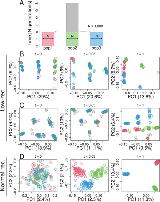 Simulation of a species-wide low-recombining region. A. Simulated demography scenario. Our simulated genome contained two chromosomes, one with a low-recombining region and the other without. B, C. PCA showing patterns of genetic variation at the species-wide low-recombining region at three time points in three exemplified simulation replicates. D. PCA showing patterns of genetic variation at a normally recombining chromosome at three time points in the same replicates as B.