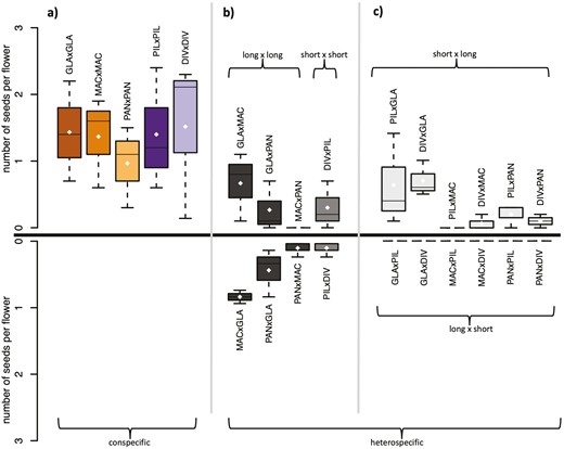 Seed set is reduced in heterospecific vs conspecific crosses and asymmetric in crosses between long- and short-styled species. (a) Average numbers of seeds obtained per flower in conspecific crosses. (b) Average number of seeds obtained per flower in heterospecific crosses between species with the same style type (long × long or short × short). Reciprocal crosses are shown above and below the zero line (thick horizontal line in the middle of the plot), with the y-axis flipped in the below part. (c) Average number of seeds obtained per flower in heterospecific crosses between species with different style types. Crosses with a short-styled pollen-receiving species and a long-styled pollen donor (short × long) are shown above the zero line, crosses with a long-styled pollen-receiving species and a long-styled pollen donor (long × short) are shown below the zero line (y-axis flipped). Each cross consists of three replicates with up to ten crossed flowers per replicate (see Supplementary Table S3). Shown are the average numbers of seeds obtained per flower in each replicate. The maximum number of seeds per flower is three. The white dots indicate the means. Species abbreviations are given as pollen-receiving species × pollen-donor species.