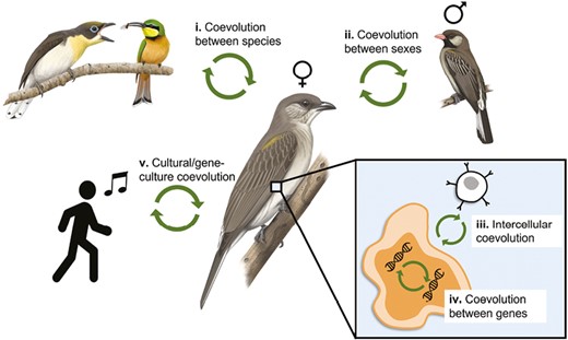 synthesis of coevolution across levels of biological organization ...