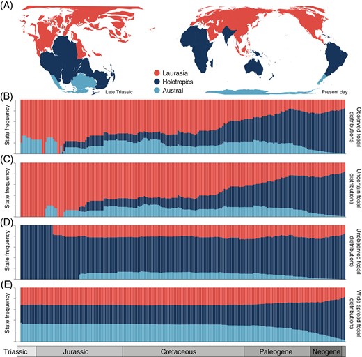 Biogeographic reconstructions for tree ferns (Cyatheales) based on distribution data of extant and fossil species using three areas. (A) Geographic maps of the globe for the Late Triassic period (left) and the present day show the configuration of the three areas used for reconstructions. (B–E) State-frequency-through-time (SFTT) plots showing the temporal distribution of probable ancestral geographic states based on reconstructions using fossil geographic information to varying levels (B, known distributions; C, uncertain distributions; D, unknown distributions; E, widespread distributions).