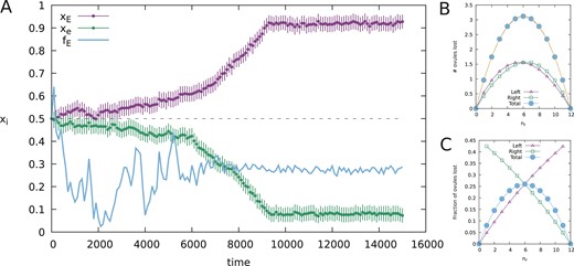 Evolutionary branching of an initially monomorphic population. (A) Outcome of a population genetics simulation where an initially monomorphic heterozygous population splits into a dimorphic population. Green (lighter) dots: average x-value of the 𝑥𝑒-metagene ± standard deviation, purple (dark) dots: average similar for 𝑥𝐸-metagene. Solid blue line: population allele frequency 𝑓𝐸 of the E-allele. Note that the fluctuations in 𝑓𝐸 decrease after 𝑥𝑒 and 𝑥𝐸 are sufficiently diverged, indicating that from then on, the E/e-system is maintained by negative frequency-dependent selection, resulting in roughly equal fractions of 𝑥𝑒 and 𝑥𝐸 expressing individuals. (B) Expected number of ovules lost due to geitonogamy with the parameters used in the simulations, split for L - and R- flowers and summed. A parabola (yellow curve) goes through all points of the summed losses. (C) Relative ovule loss corresponding to B. Parameters: f =12,v = 12,ζ = 2,λ = 0.2,ε = 0.2.