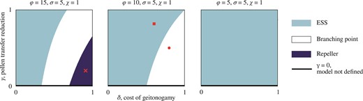 High reproductive rate favors the evolution of dimorphic enantiostyly. Characterization of the singular point 𝑥* = 1/2 with three bifurcation diagrams in the δ and γ parameters for decreasing (left to right) values of the reproductive rate φ. (A) Depending on the combination of values of δ and γ, for high reproductive rate the evolutionary outcome of the model can be an evolutionary stable strategy (ESS) for the monomorphic population (light blue), a branching point with consequent emergence of dimorphism (white), and a repeller of the evolutionary dynamics (dark blue) in which, for most initial conditions, mutations of small effect result in a monomorphic population with uniform direction for the stylar deflection among individuals, that is, with trait value either x = 0 or x = 1. (Red) Cross corresponds to parameter values as in Figure 2C, F, and I. (B) By decreasing the reproductive rate, the parameter regime that leads to an evolutionary repeller shifts beyond γ>𝟣, leaving only an ESS or branching point as possible characterizations of 𝑥* = 1/2. (Red) Circle corresponds to parameter values as in Figure 2B, E, and H, (red) square to parameter values as in Figure 2A, D, and G. (C) For lower value of the reproductive rate φ, the singular point 𝑥* = 1/2 is an ESS for any biologically relevant combination of δ and γ.