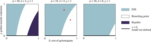 Increased competition reduces the scope for evolving dimorphic enantiostyly. Characterization of the singular point 𝑥* = 1/2 with three bifurcation diagrams in the δ and γ parameters for increasing (left to right) values of the competition coefficient σ for shared abiotic resources. (A) Depending on the combination of values of δ and γ, for weak competition three evolutionary outcomes are possible: an evolutionary stable strategy (ESS) for the monomorphic population (light blue), a branching point with consequent emergence of dimorphism (white), and a repeller of the evolutionary dynamics (dark blue) in which, for most initial conditions, mutations of small effect result in a monomorphic population with uniform direction for stylar deflection among individuals, that is, with trait value either x = 0 or x = 1. (B) By increasing the competition coefficient, the parameter regime that leads to an evolutionary repeller shifts beyond γ>𝟣, leaving only ESS or branching point as possible characterization of 𝑥* = 1/2. (Red) Circle corresponds to parameter values as in Figure 2B, E, and H, (red) square to parameter values as in Figure 2A, D, and G. (C) For higher value of the competition coefficient σ, the range of values for δ and γ such that 𝑥* = 1/2 is a branching point shrinks, and evolutionary branching can only occur for very high δ and very low γ, whereas for other combination of δ and γ, the singular point 𝑥* = 1/2 is an ESS.