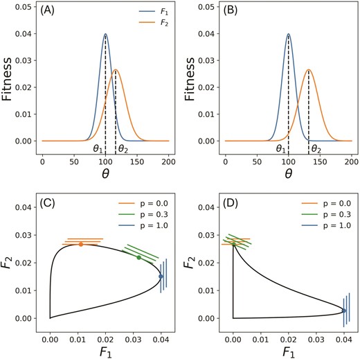 (a,b) Fitness functions 𝐹1 and 𝐹𝟤 of an organism subject to two distinct environments 𝑒𝟣 and 𝑒𝟤. The fitness is assumed to have a Gaussian form over the range of available phenotypes θ, with its maximum value at the optimum θi, and width σ𝑖, a measure of the selection pressure. We have θ𝟣=𝟣𝟢𝟢, σ𝟣=𝟣𝟢 and σ𝟤=𝟣𝟧 in both (a) and (b), whereas θ𝟤 changes from 116 in (a) to 132 in (b). The fitness set corresponding to (a) is shown in (c). Since the optimal phenotypes of the two environments are close and the fitness functions 𝐹𝟣 and 𝐹𝟤 have considerable overlap, the fitness set in convex. In contrast, for (b), where the two environmental optima are farther apart, the corresponding fitness set (d) is concave. (c,d) also illustrate the family of adaptive functions 𝐴(𝐹𝟣,𝐹𝟤,𝑝) defined in Equation 2 for 𝑝=0.0,0.3 and 1.0. Here p is the frequency with which the organism encounters environment 𝑒𝟣. The optimal phenotype for a given p value is the point where the corresponding adaptive function intersects the fitness set with the largest intercept A. In (c,d), the orange and blue set of adaptive functions pick out the optima of the two corresponding environments shown in (a,b).