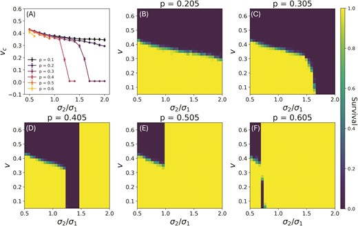 Critical rates of environmental change. (a) Upper bound on the rate of change 𝑣𝑐 as a function of σ𝟤/σ𝟣 with σ𝟣=𝟣𝟢 and mutational standard deviation 0.5, averaged over 25 initial populations. We only report 𝑣𝑐 for values of σ𝟤/σ𝟣 at which populations go extinct above this critical rate. Cases of σ𝟤/σ𝟣 where the population survives for all values of v are not plotted here. (b-f) Probability of survival over 25 runs of the population dynamics for different values of rate of change and σ𝟤/σ𝟣. The yellow regions are areas where all populations survived, and blue are where they all went extinct. The boundary between the two represents the two critical rates. The lower critical rate only exists in the panel for 𝑝=0.605. For these plots 𝑚=0.5,𝑓max=2.0,𝐾=𝟣𝟢𝟢𝟢,θ𝟣=𝟣𝟢𝟢,θ𝟤=𝟣𝟣𝟢 and σ𝟣=𝟣𝟢.