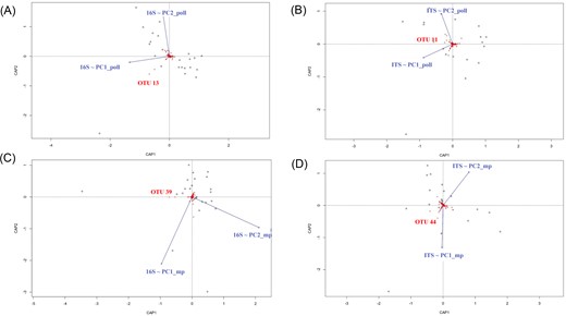 Effect of pollution gradients on the structure and variability of microbial communities associated with colonized (C) water samples. Microbial community distances among samples (dots) were constrained based on physicochemical and pollution parameters (blue vectors) and are represented by dbRDA plots. PC1_poll/PC2_poll represents the combination of physicochemical and pollution variables, and PC1_mp/PC2_mp represents the organic molecule occurrence. OTU names significantly correlated (P < .05) with PC1_poll/PC2_poll or PC1_mp/PC2_mp are highlighted in red. Only significant effects are shown. (A) and (B) PC1_poll/PC2_poll dbRDA was performed for microbial community distances obtained from 16S rRNA and ITS sequencing, respectively. (C) and (D) PC1_mp/PC2_mp dbRDA was performed for microbial community distances obtained from 16S rRNA and ITS sequencing, respectively.
