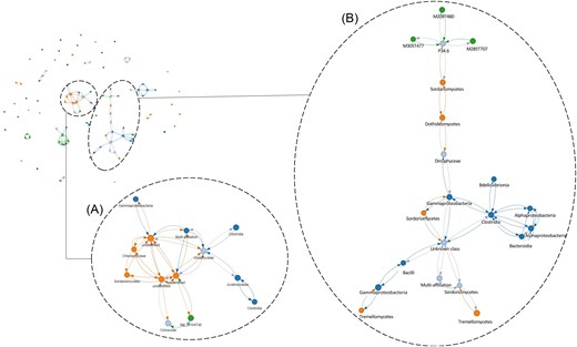 A network analysis showing positive correlations between microbial OTUs, i.e. bacteria (dark blue dots), fungi (orange dots), and eukaryotes (light blue dots), organic molecules (green dots), and physicochemical parameters (light green dots). Each link represents a correlation with ρ > 0.25. For this analysis, we kept the samples with positive PCR amplification for each genetic marker, for a total of 13 colonized waters among the 23 sampled.