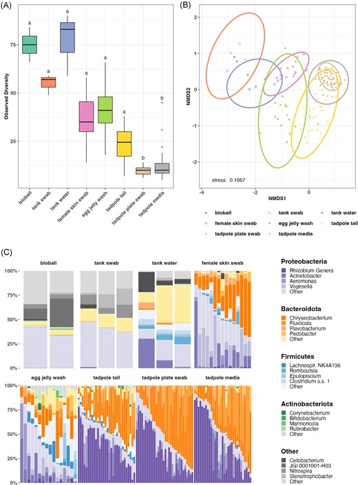 Comparison of microbial communities in core sample types based on 16S amplicon sequencing. Each analysis is based on three merged replicates for each sample. Total sample numbers for each sample type are detailed in Fig. 1(B) and Table S1. (A) Observed alpha diversity (rarefied at 1000 reads). Letters above each sample type denote statistical significance in compact letter display format; sample types with the same letter designation have no statistically significant difference (P < .05). (B) NMDS ordination of Bray–Curtis distance matrix of microbial communities from core sample types. (C) Relative abundance of microbial phyla and genera in core sample types (rarefied at 1000 reads).