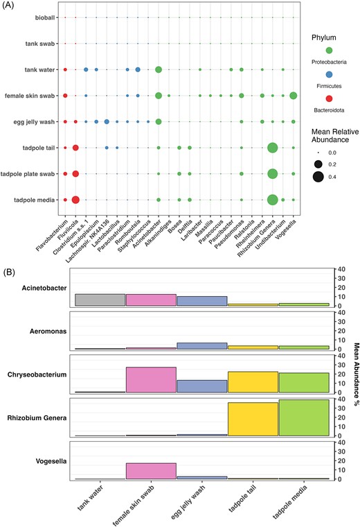 (A) Mean relative abundance of significantly differentially abundant taxa across sample types. Taxa shown here are those found to be differentially abundant between mother skin swabs and tadpole tails by both ANCOMBC2 and MaAsLin2 (q < 0.25). (B) Mean relative abundance of selected taxa across sample types, demonstrating changes in abundance through the progression of the X. laevis life cycle (left to right). Taxa shown were noted as being particularly abundant across one or more sample types of interest in Supplementary Table S4.